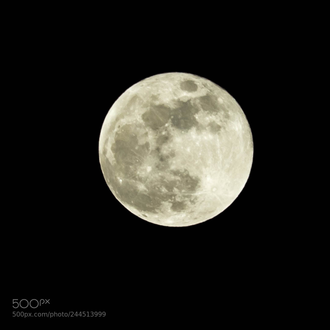 Canon EOS 77D (EOS 9000D / EOS 770D) sample photo. Blue moon photography