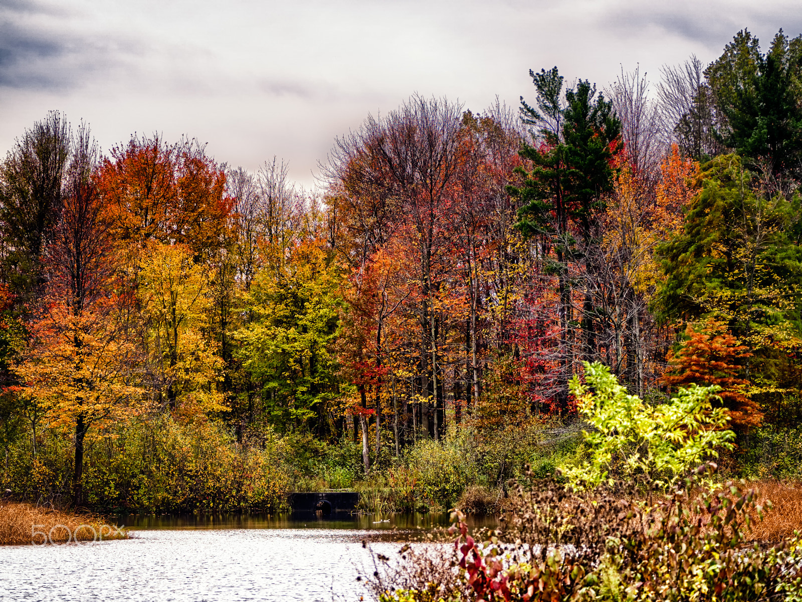 Olympus OM-D E-M10 II sample photo. Fall day (color) photography