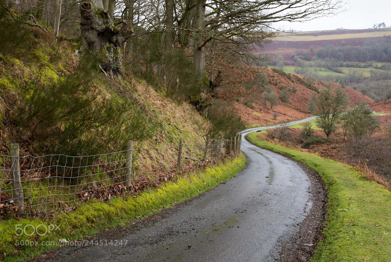 Nikon D7200 sample photo. Down the lane photography