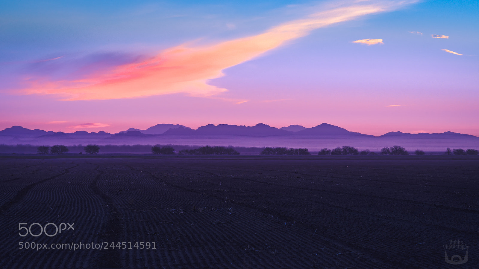 Nikon D500 sample photo. Purple haze - arizona photography
