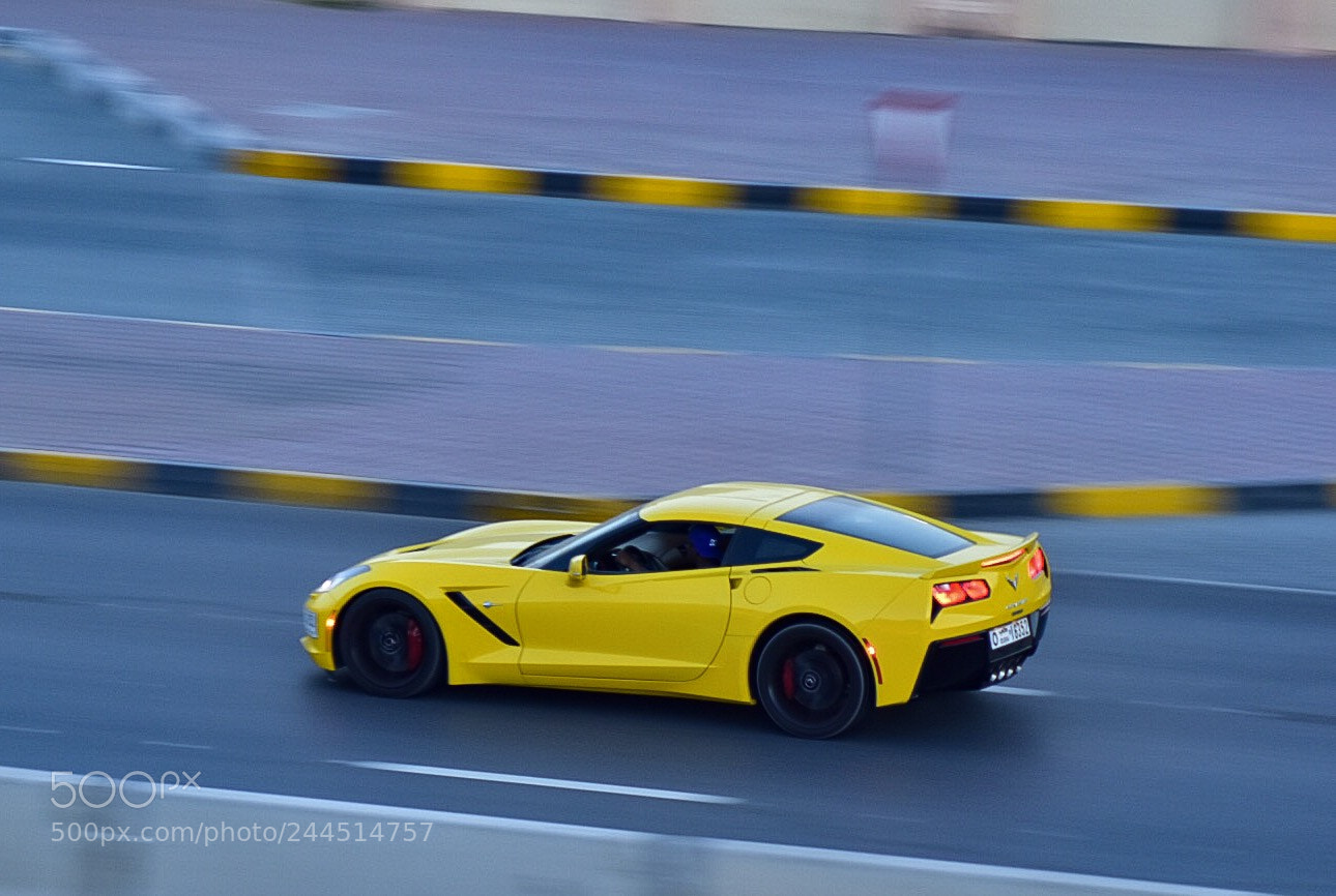 Nikon D5500 sample photo. Untitled photography