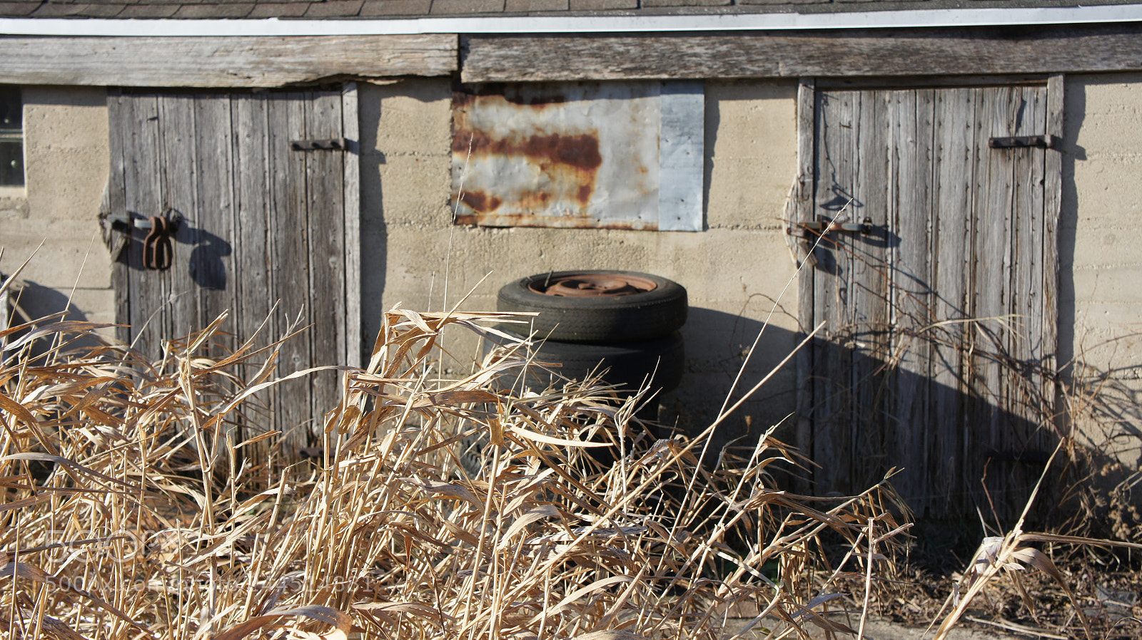 Sony Alpha NEX-3 sample photo. Sony dsc photography