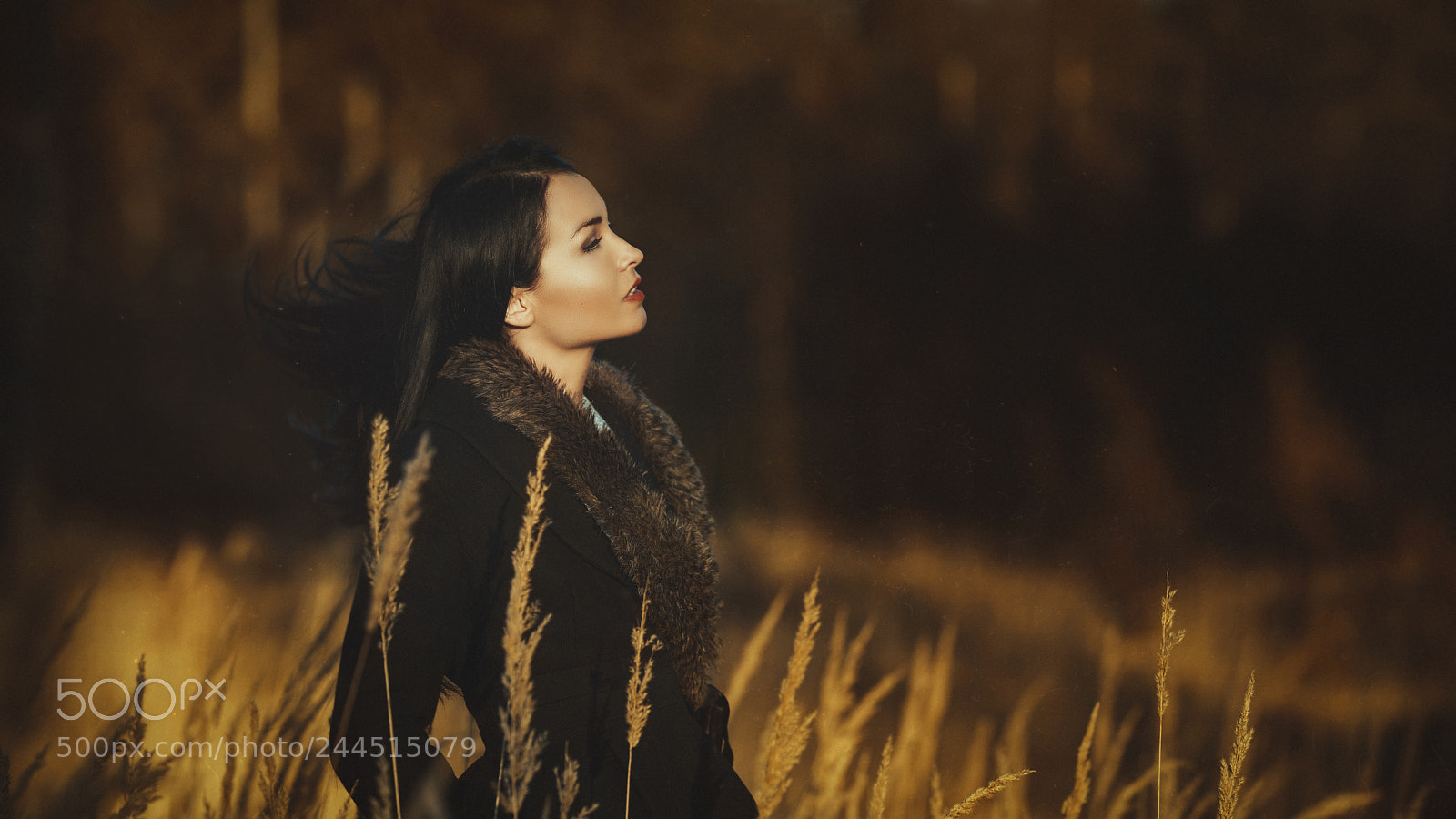 Nikon D810 sample photo. Michelle ii. photography
