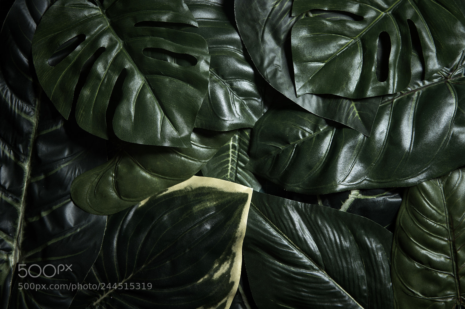 Sony a7R sample photo. Tropical green leaves composition photography