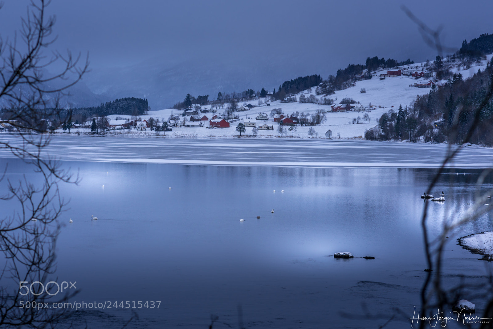 Sony a7R II sample photo. Swan lake photography