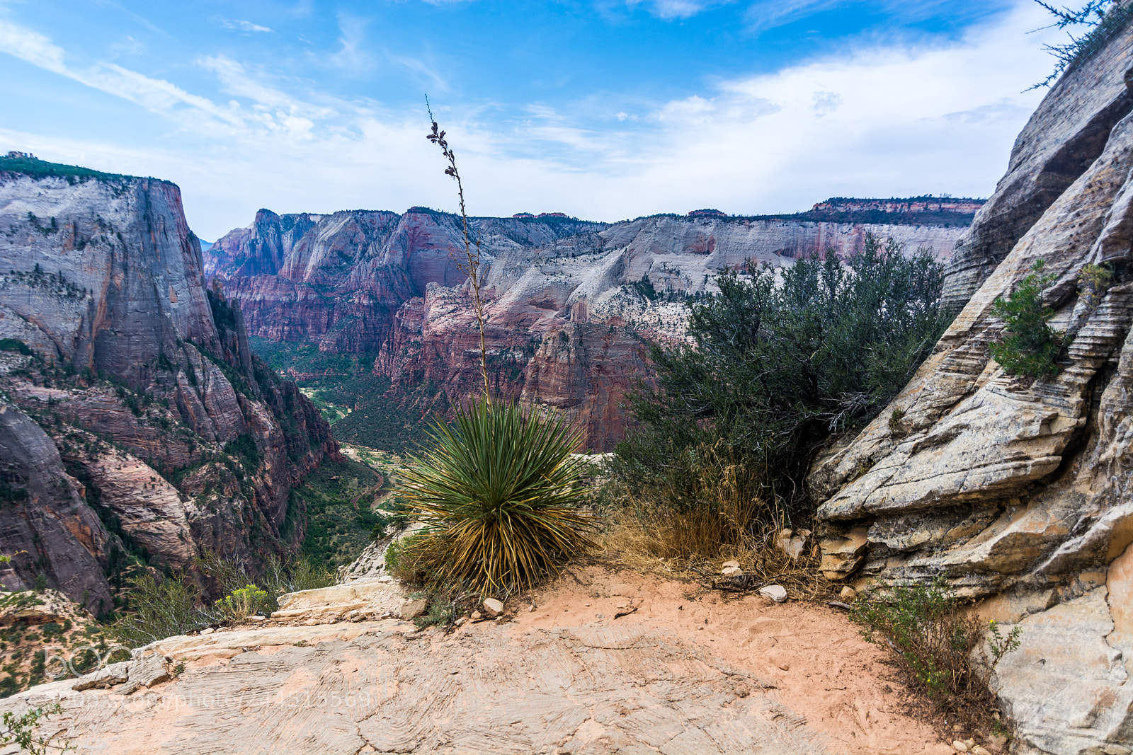 Nikon D7100 sample photo. Zion np observation point photography