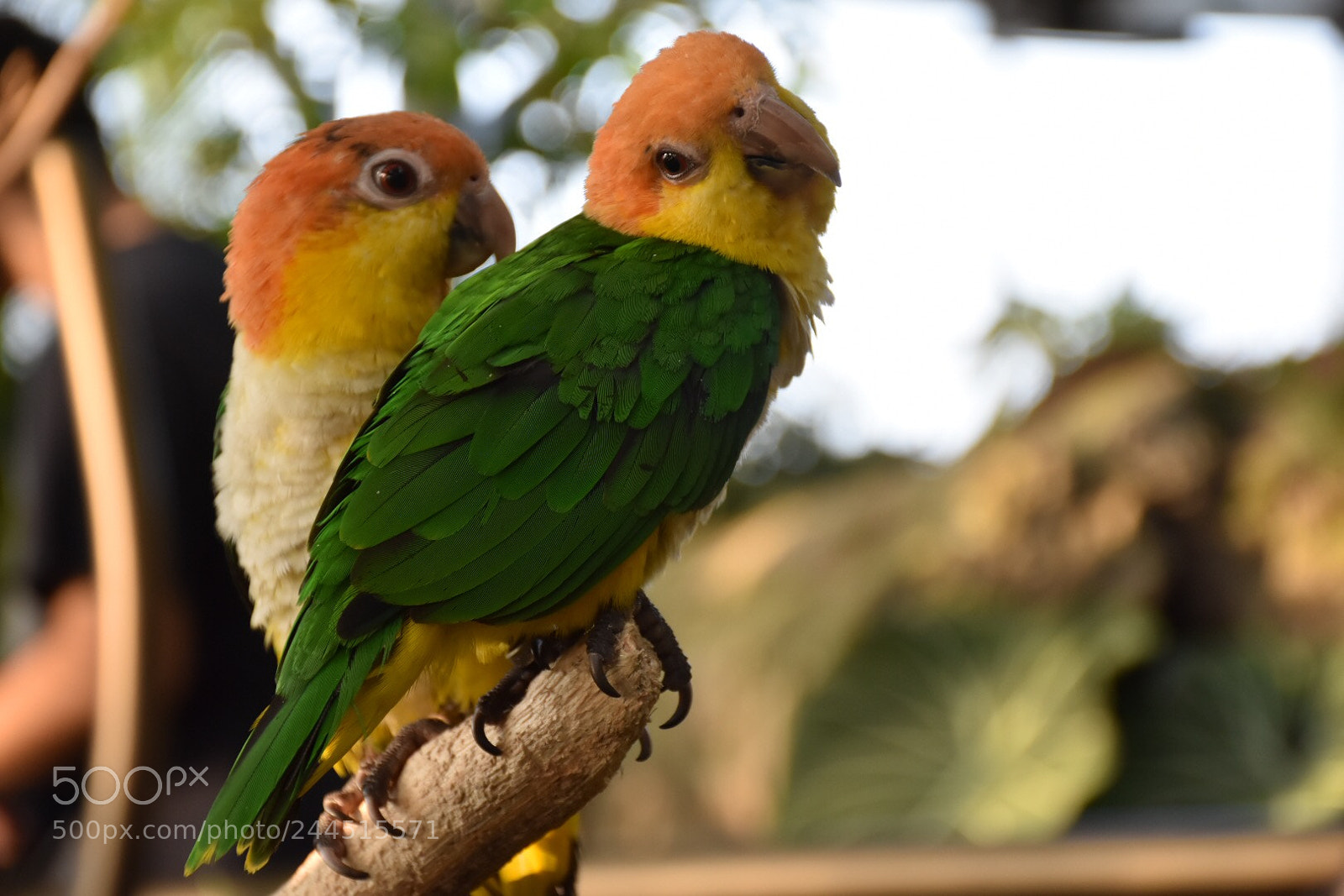 Nikon D7200 sample photo. Untitled photography