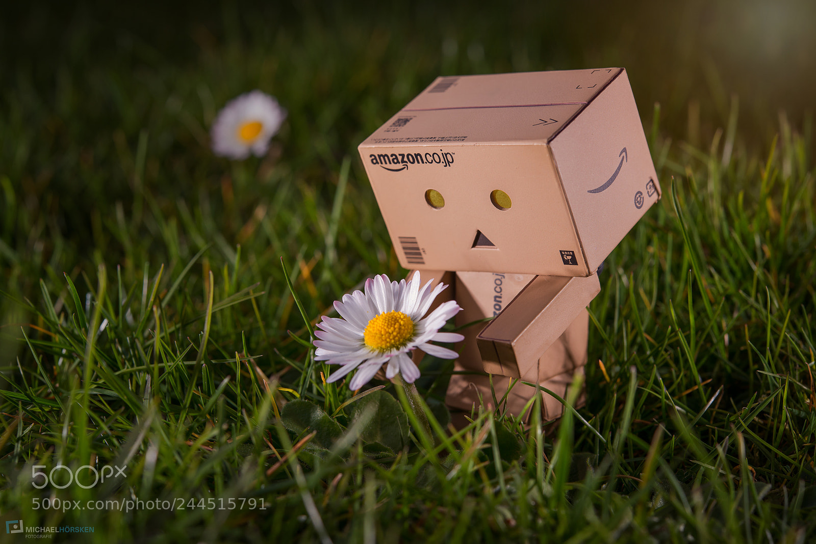 Nikon D800E sample photo. Spring fever photography