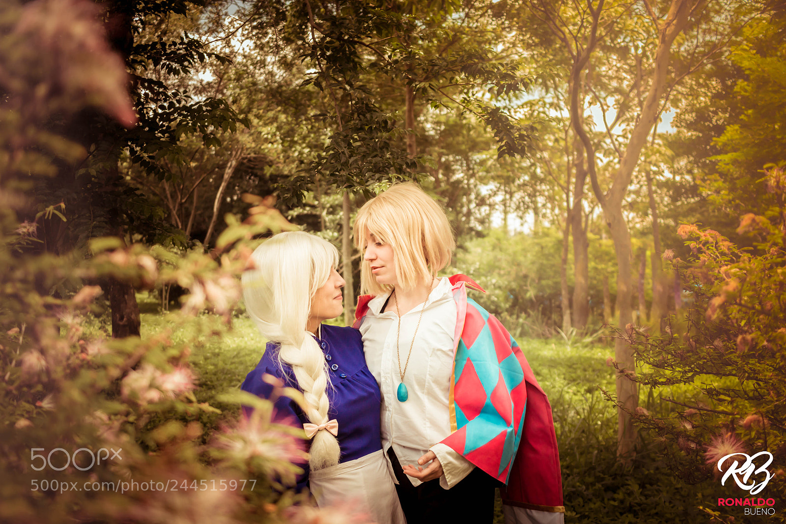 Canon EOS 700D (EOS Rebel T5i / EOS Kiss X7i) sample photo. Howl and sophie hatter photography