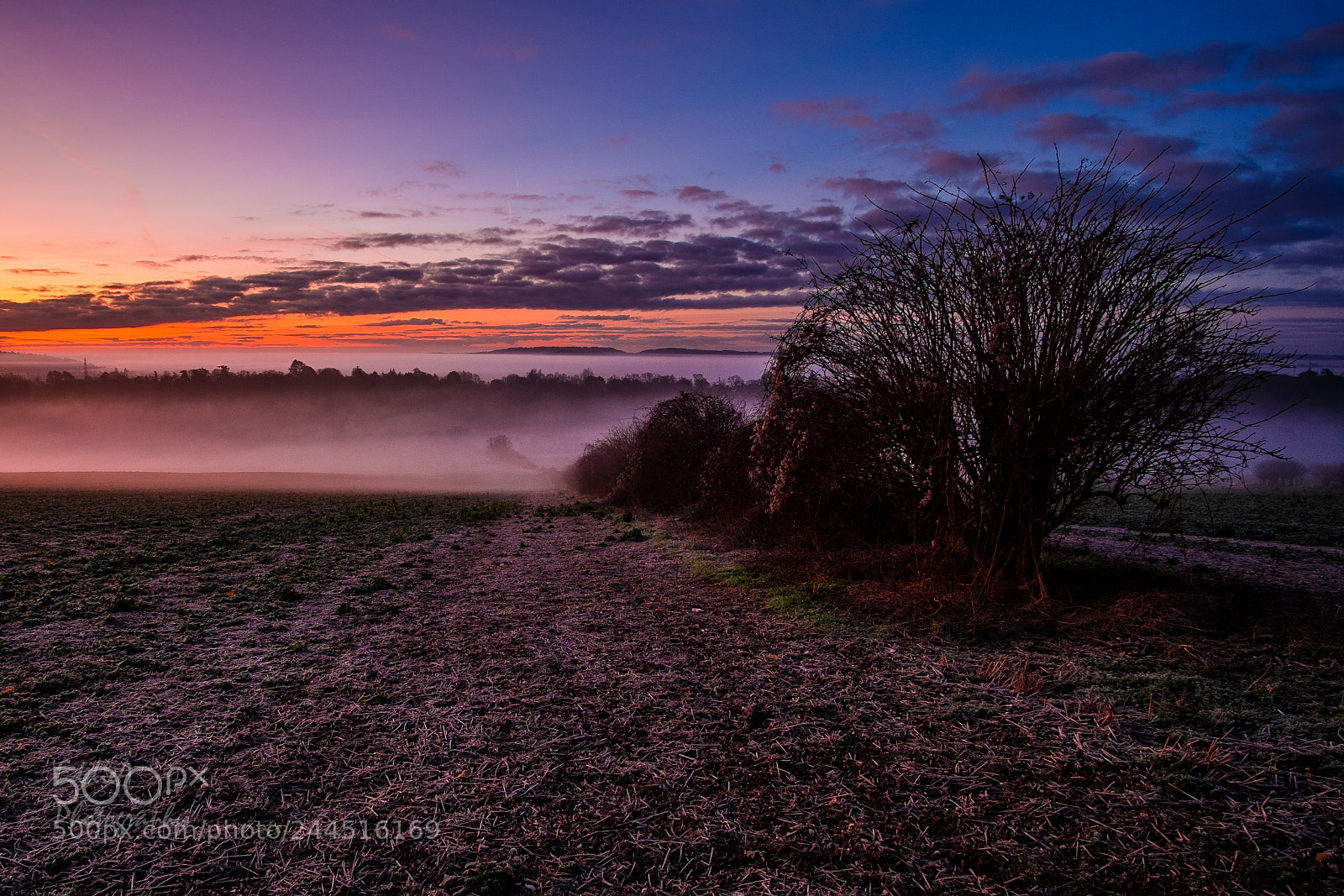 Fujifilm X-E2 sample photo. Sunrise over the fields photography