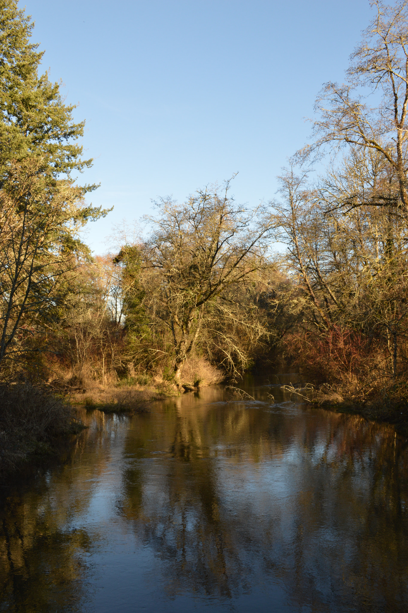 Nikon D3200 sample photo. Little river photography
