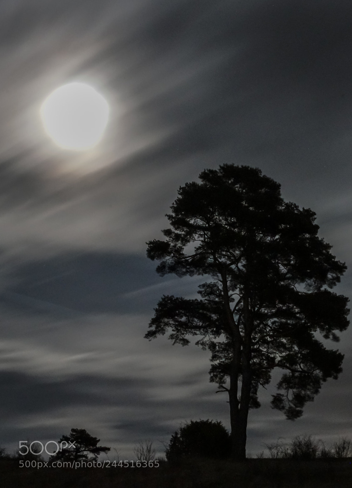 Sony ILCA-77M2 sample photo. Full moon photography