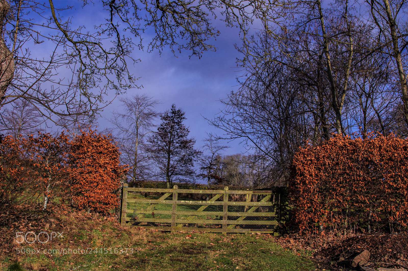Pentax K-3 sample photo. Test gate photography