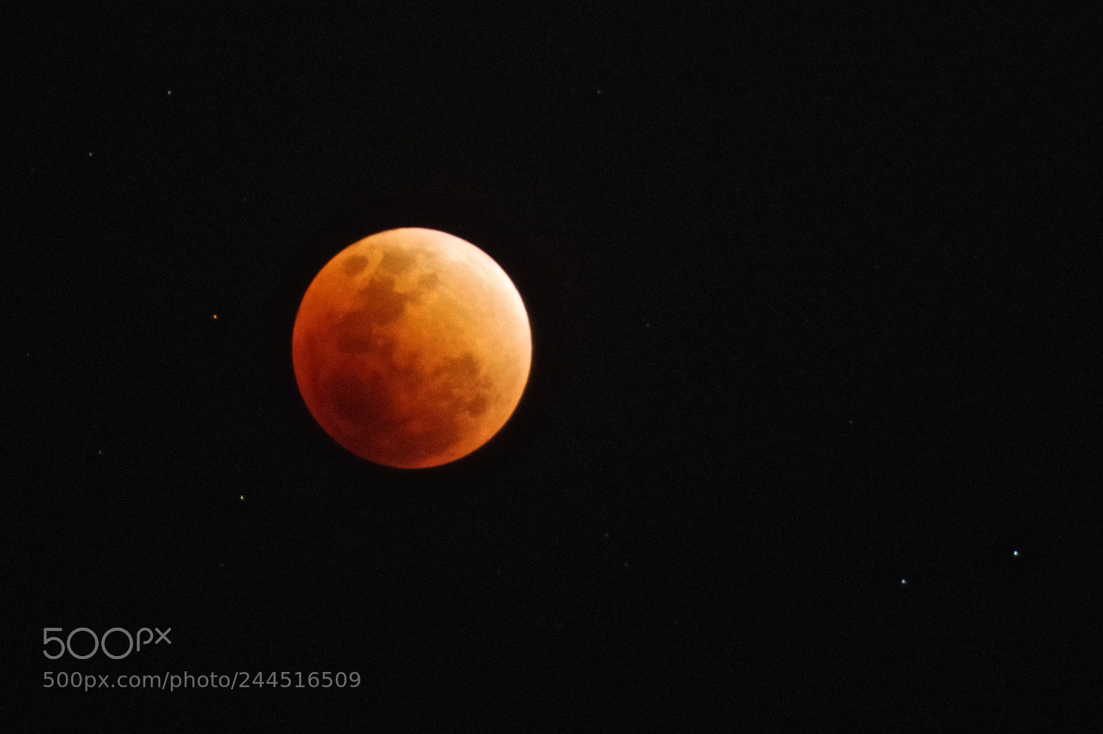 Pentax K-1 sample photo. Super blue blood moon photography