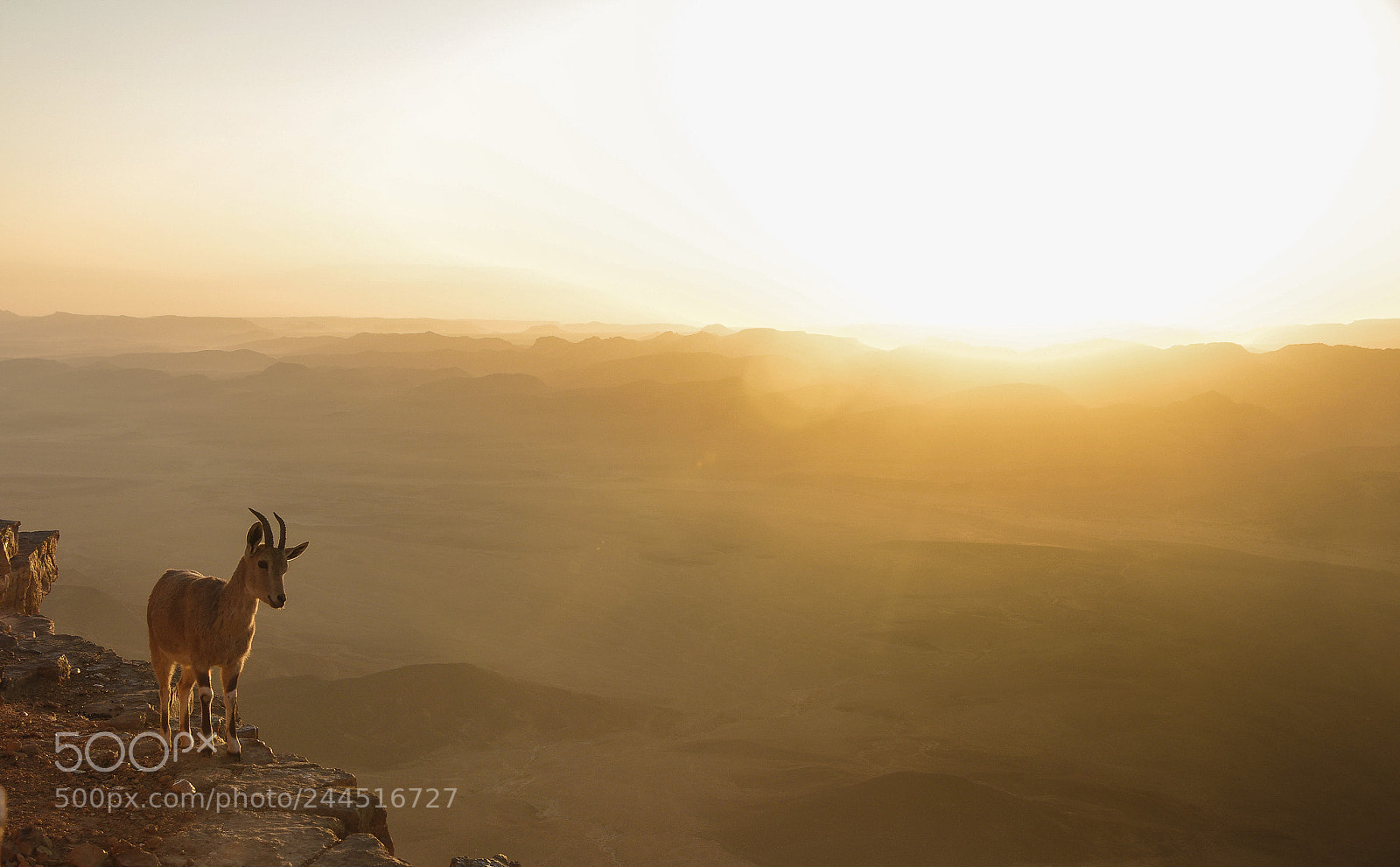 Pentax K-x sample photo. Sunset over mitzpe ramon photography