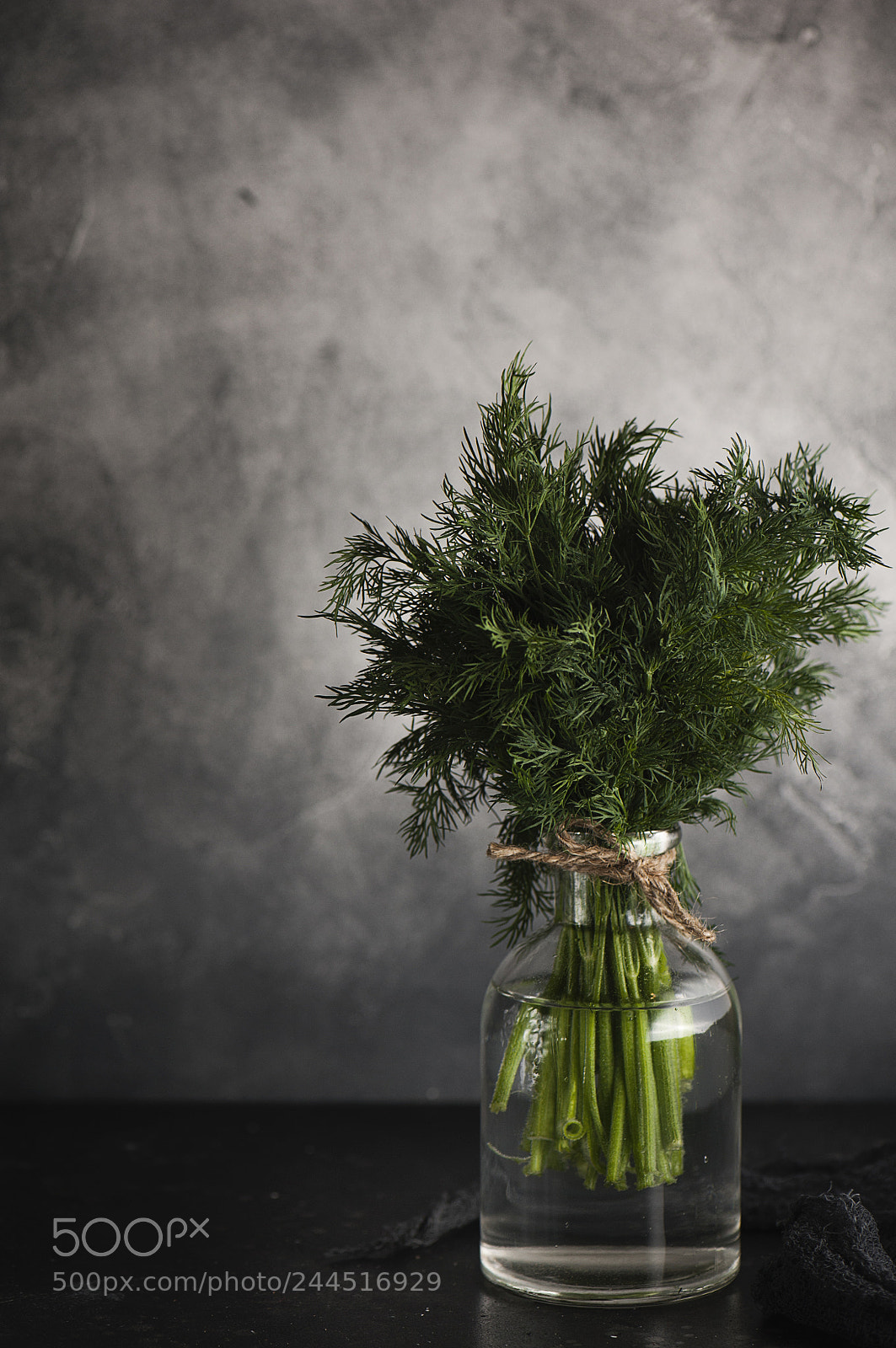 Nikon D700 sample photo. Fennel photography