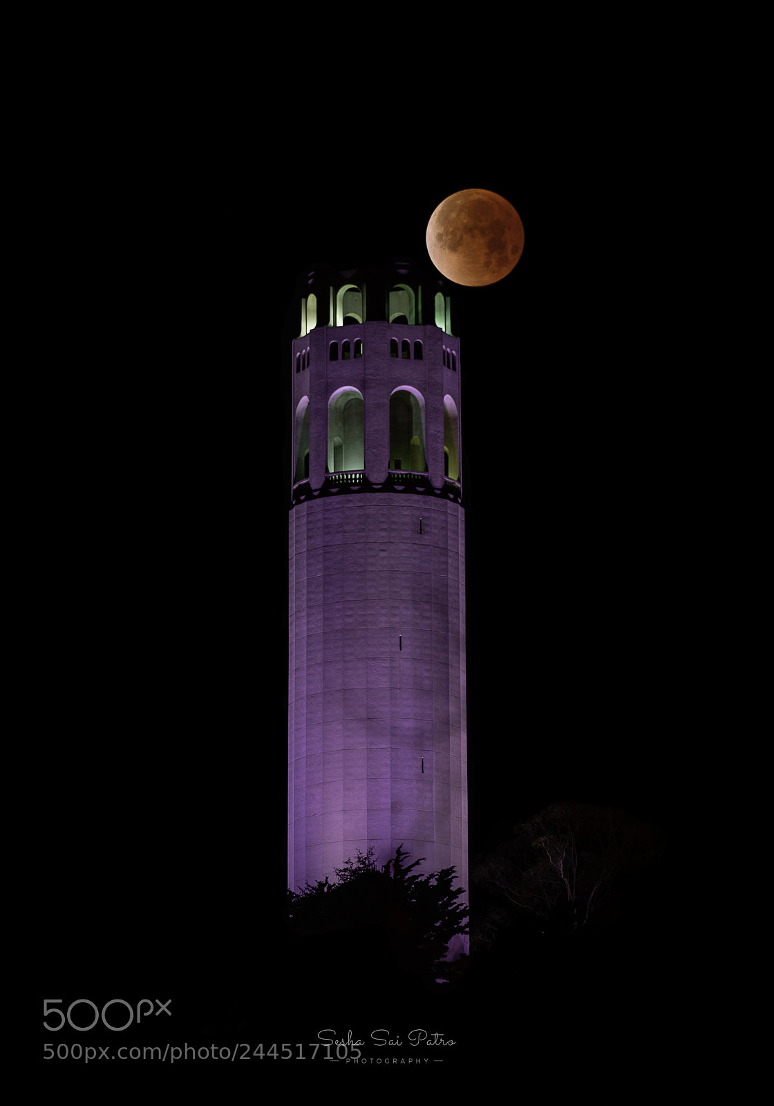 Nikon D810 sample photo. Super blue blood moon photography