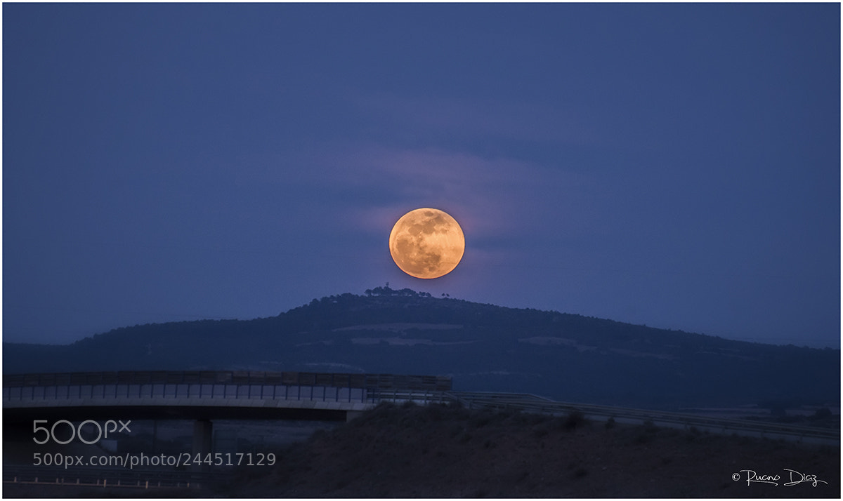 Nikon D610 sample photo. Superluna photography