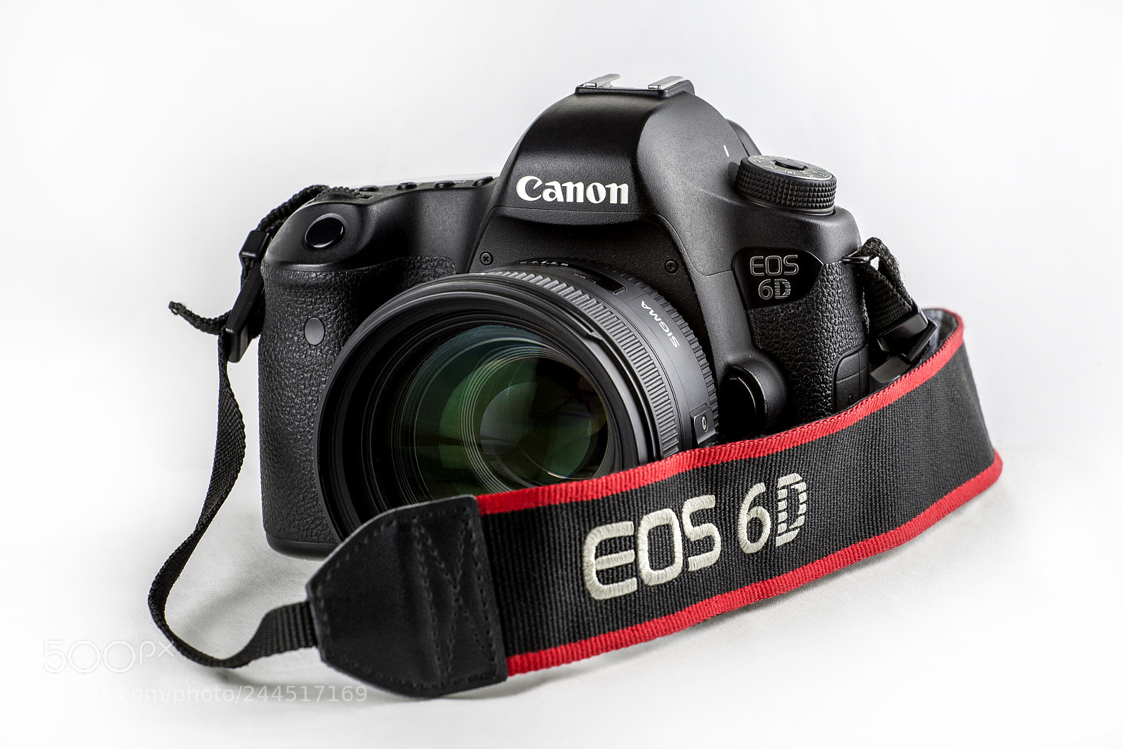 Canon EOS-1D X sample photo. A photography