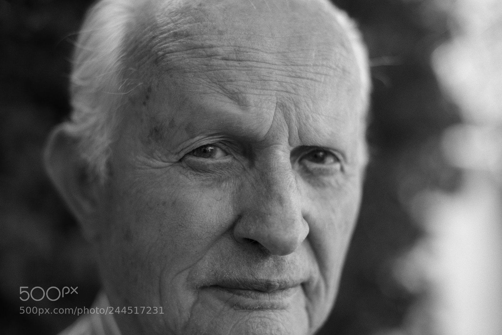 Nikon D610 sample photo. 158 photography
