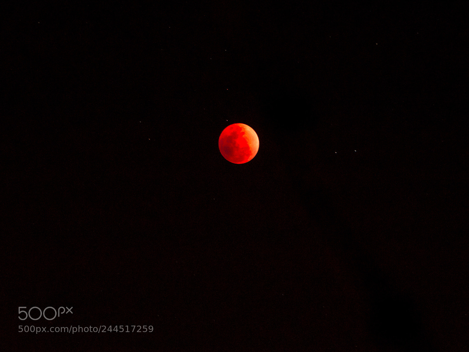 Canon EOS 650D (EOS Rebel T4i / EOS Kiss X6i) sample photo. Blood moon photography