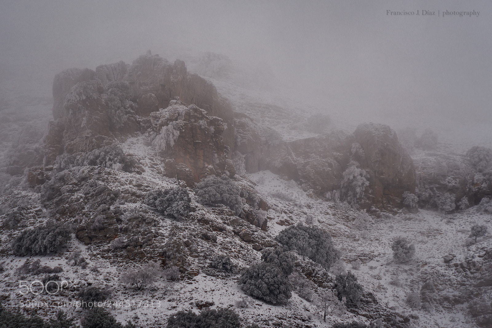 Nikon D800 sample photo. Icy photography