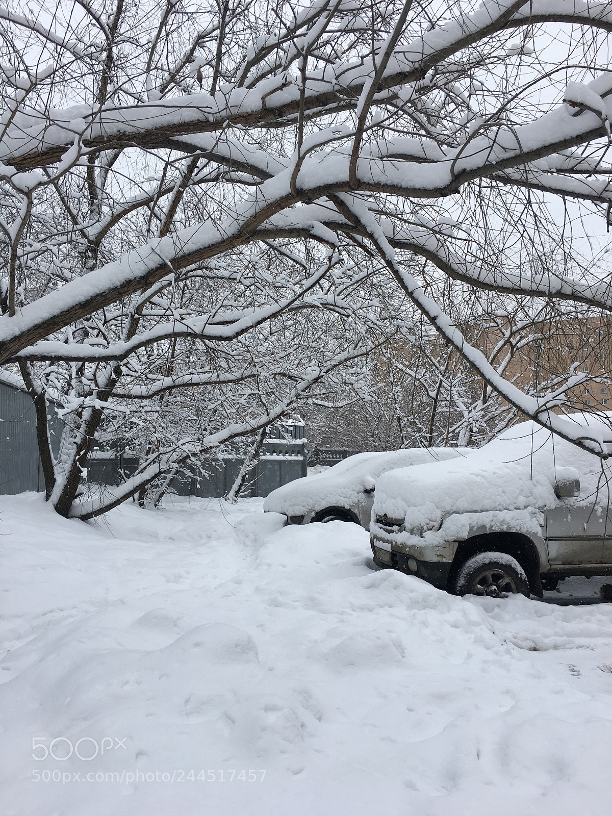 Apple iPhone 6s sample photo. Snow cover photography