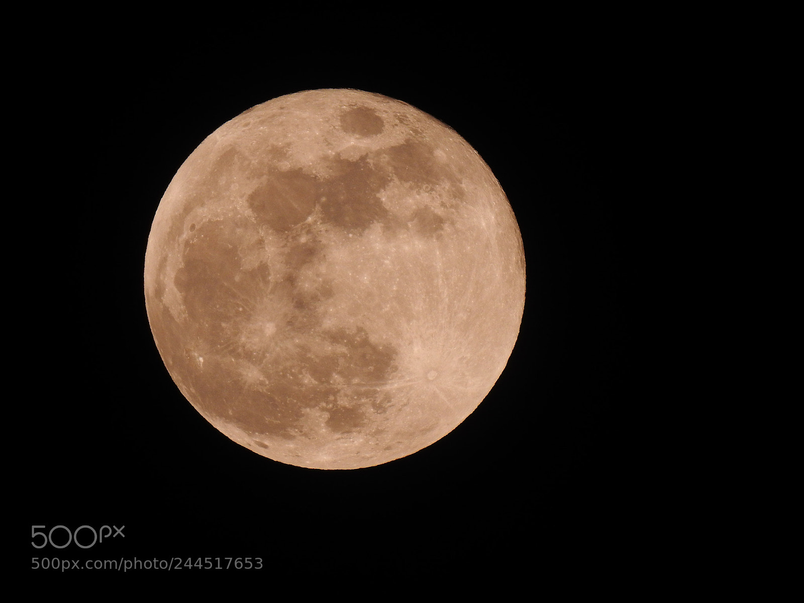 Nikon Coolpix P900 sample photo. Super blue moon photography