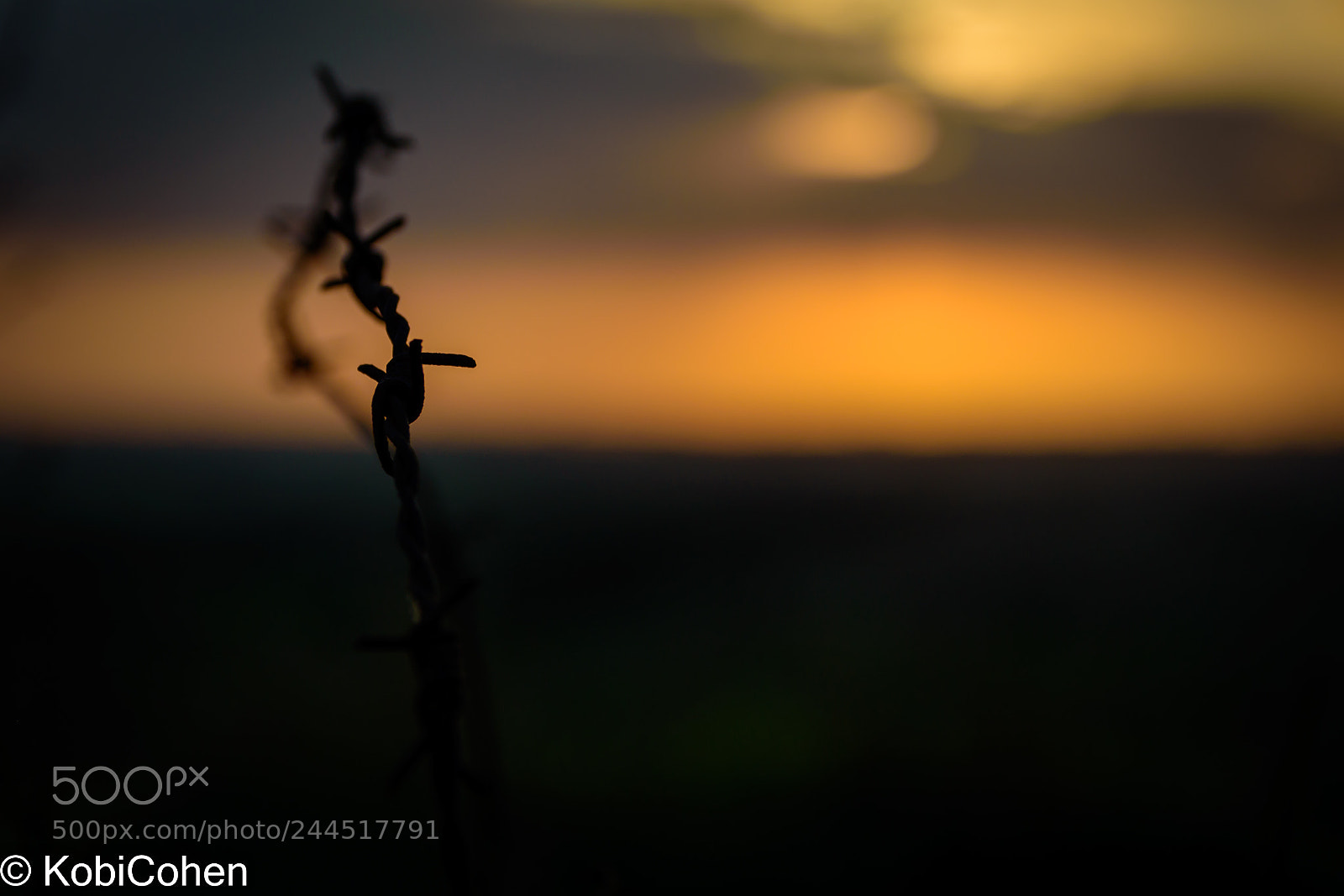Nikon D5600 sample photo. Sunset silhouette photography