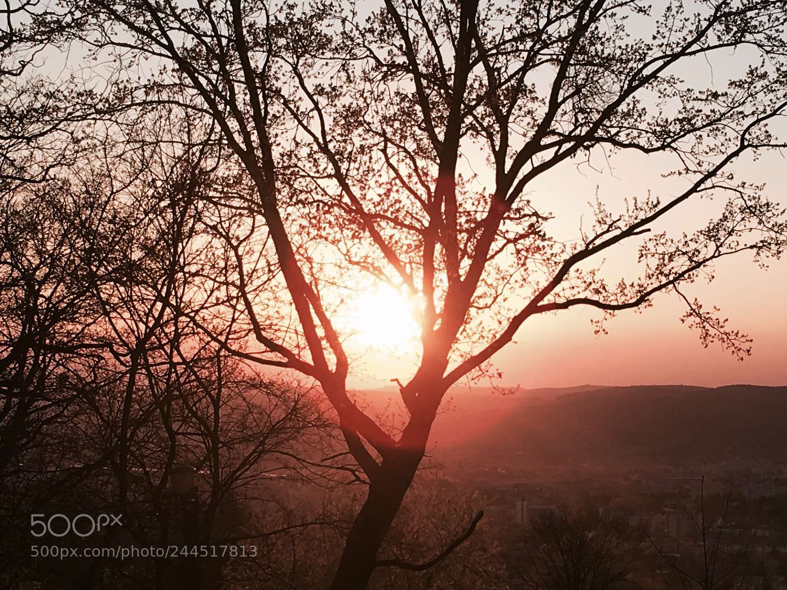 Apple iPhone 6s sample photo. Sunset with glasses on photography