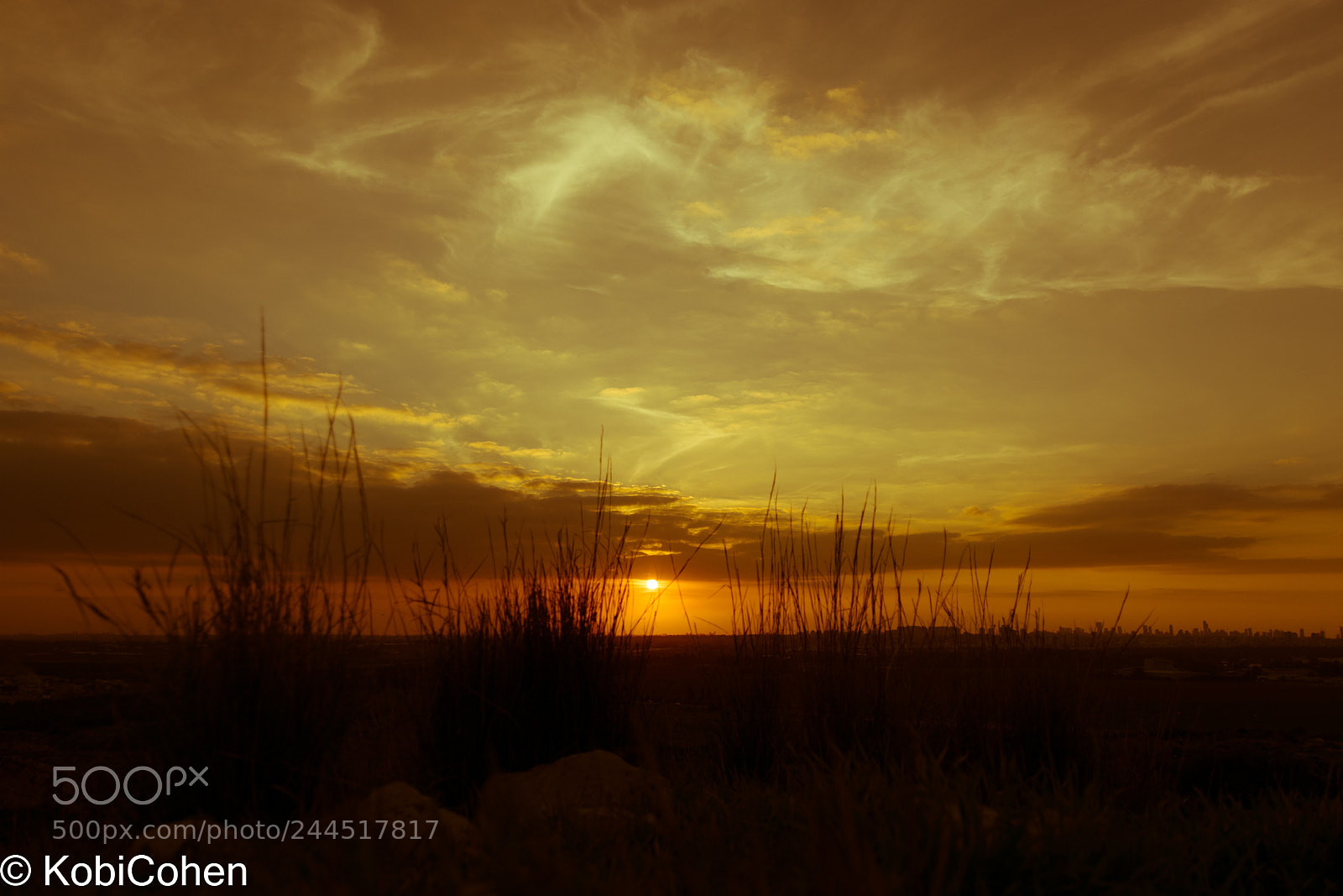 Nikon D5600 sample photo. Sunset i photography