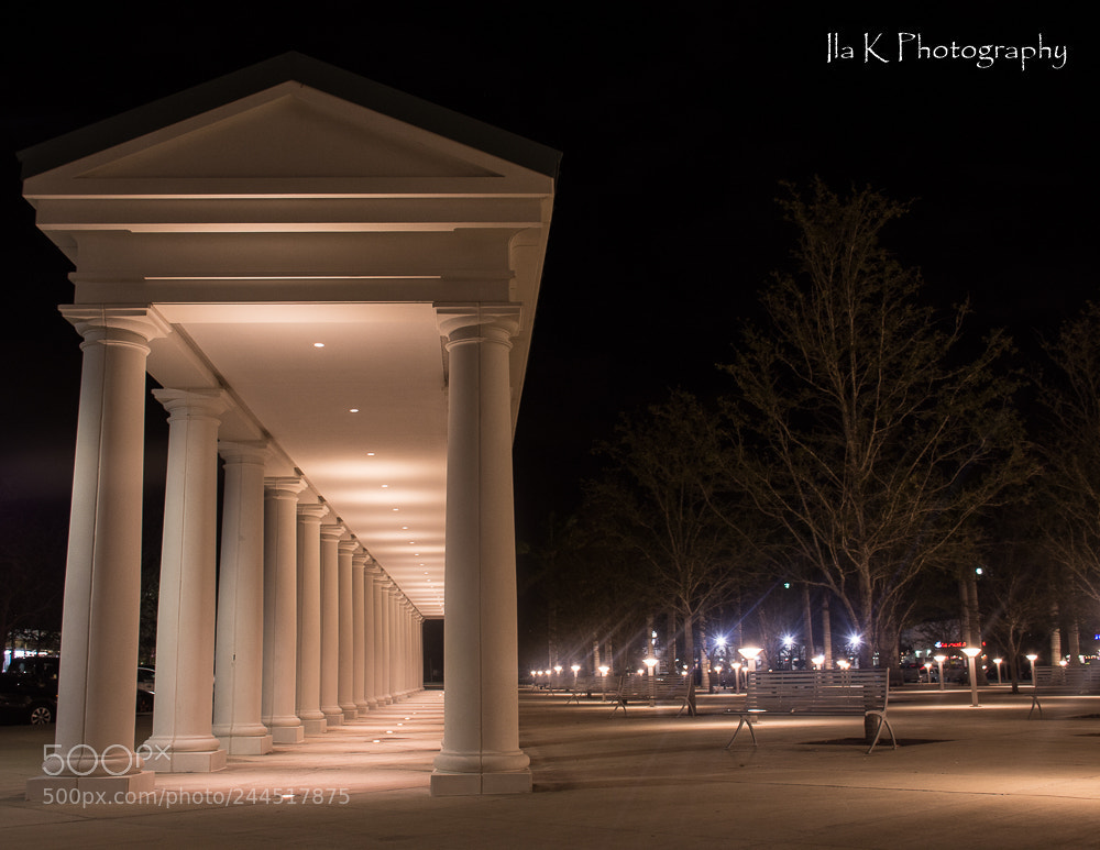 Nikon D7200 sample photo. Homestead photography