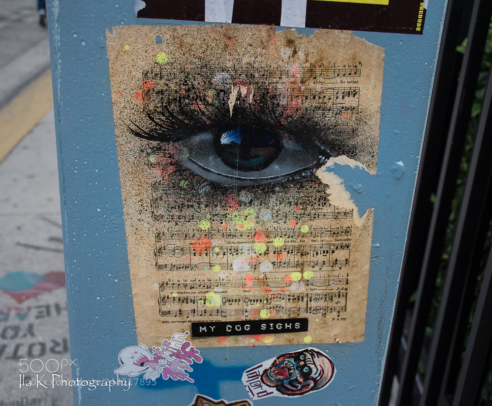 Nikon D7200 sample photo. Wynwood photography