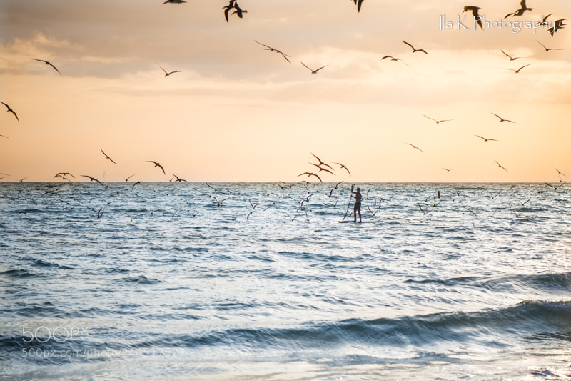 Nikon D7200 sample photo. Sarasota sunset photography