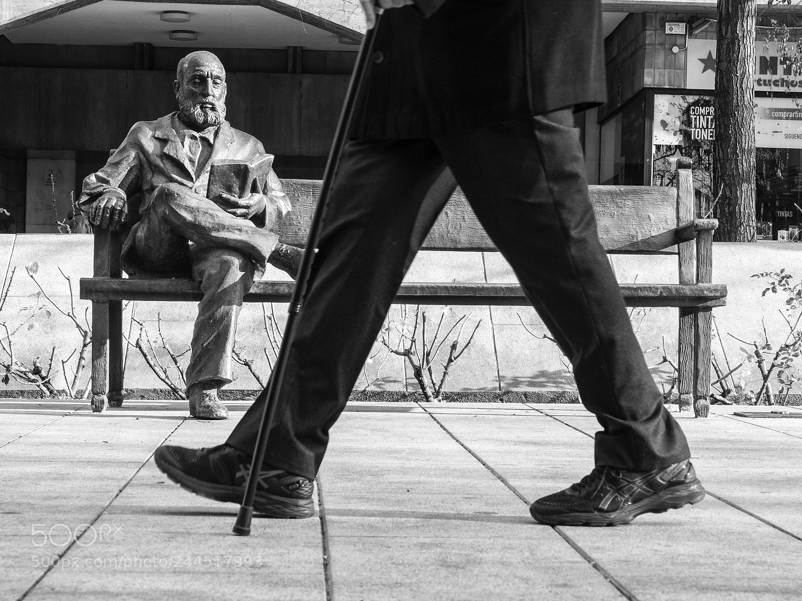Olympus OM-D E-M1 sample photo. Pedro antonio de alarc photography