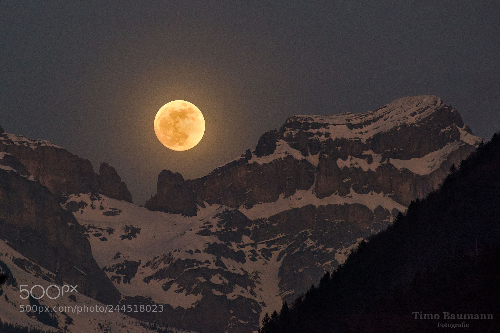 Nikon D810 sample photo. Super-blau-blutmond photography