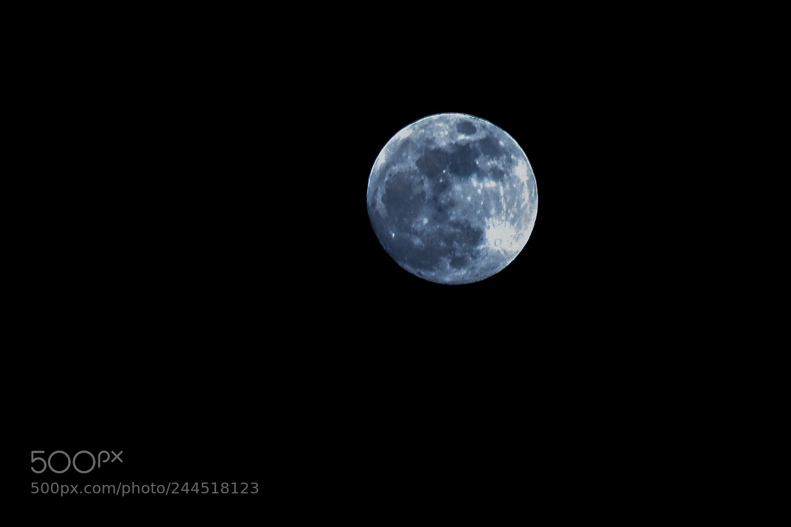 Nikon D7200 sample photo. Bluemoon photography