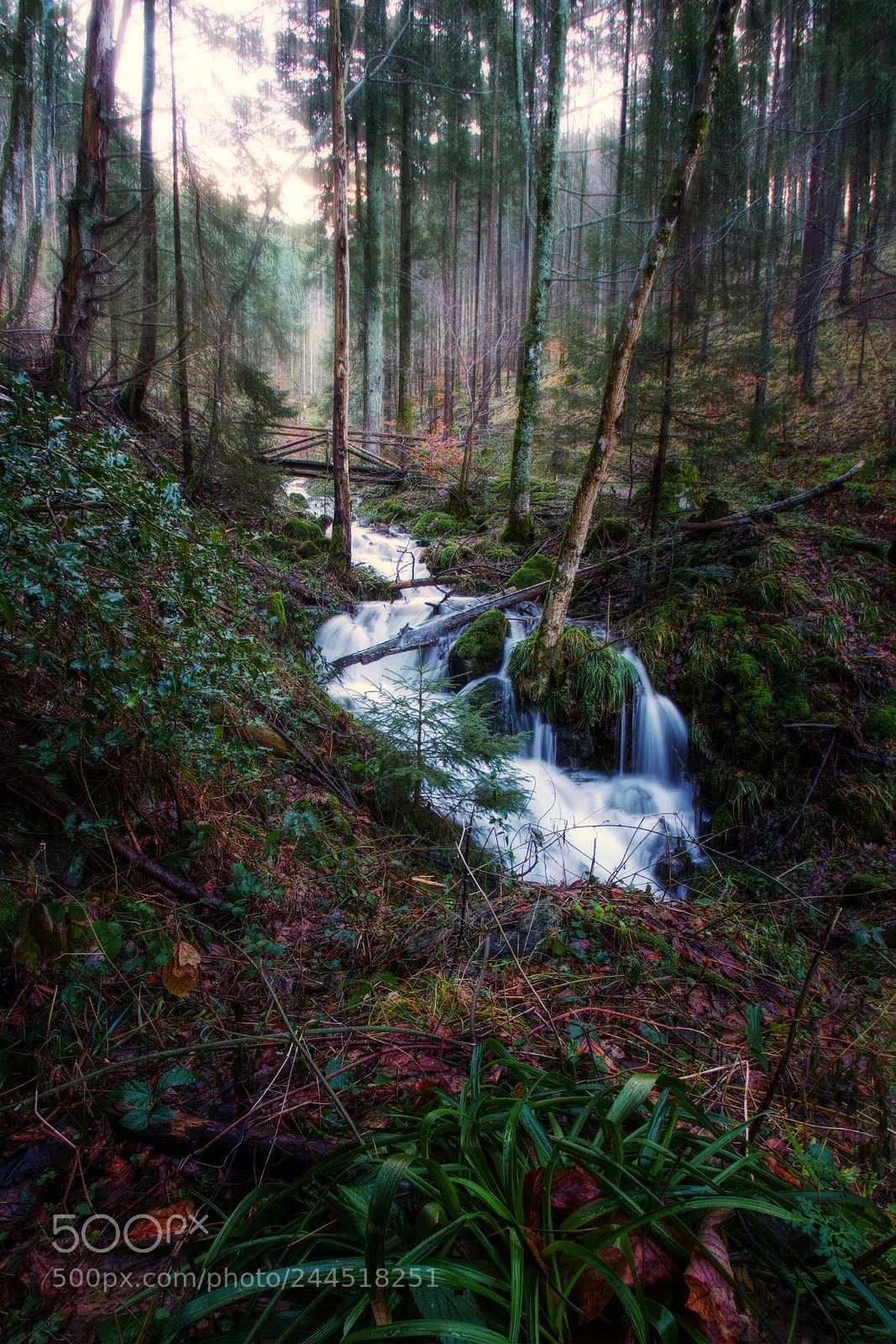 Pentax K-S2 sample photo. Schwarzwald photography