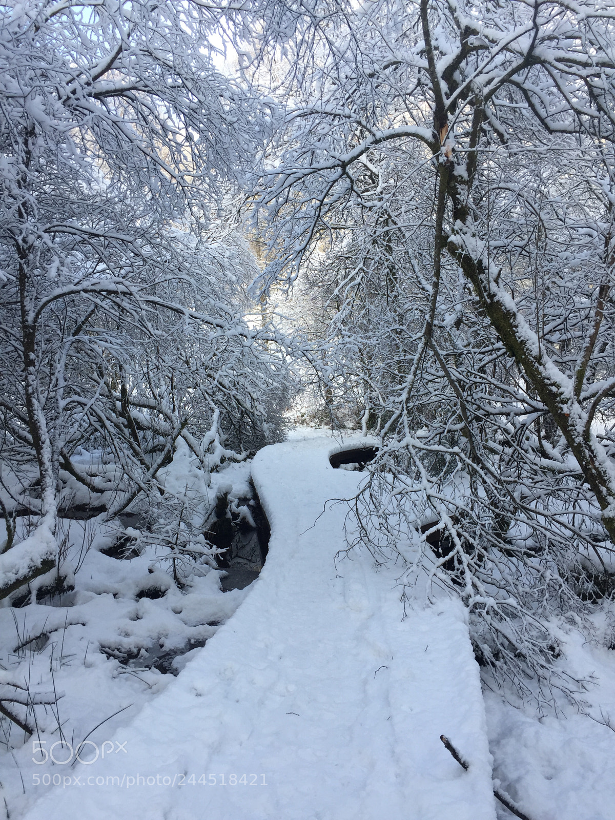Apple iPhone 6 sample photo. Winter walkway photography