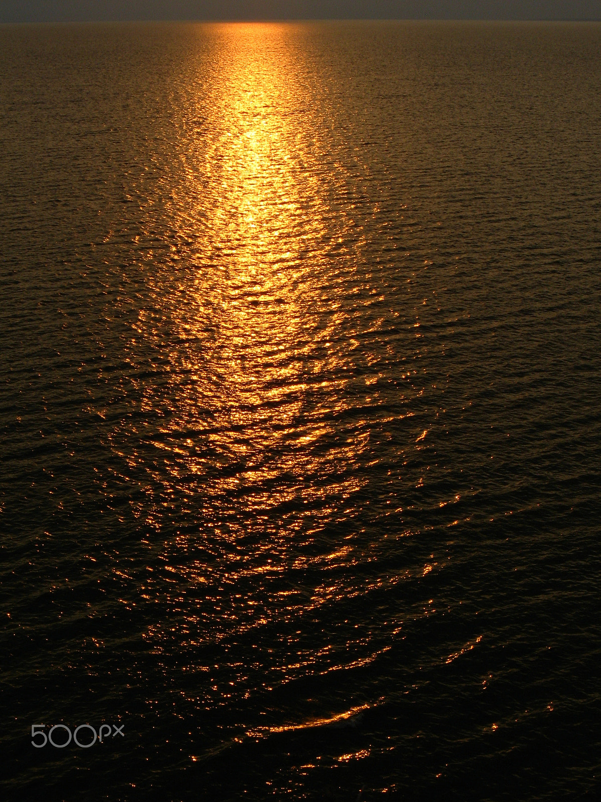 Canon PowerShot A590 IS sample photo. () photography