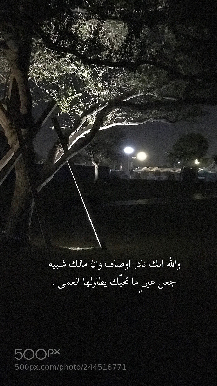 Apple iPhone 7 Plus sample photo. Untitled photography
