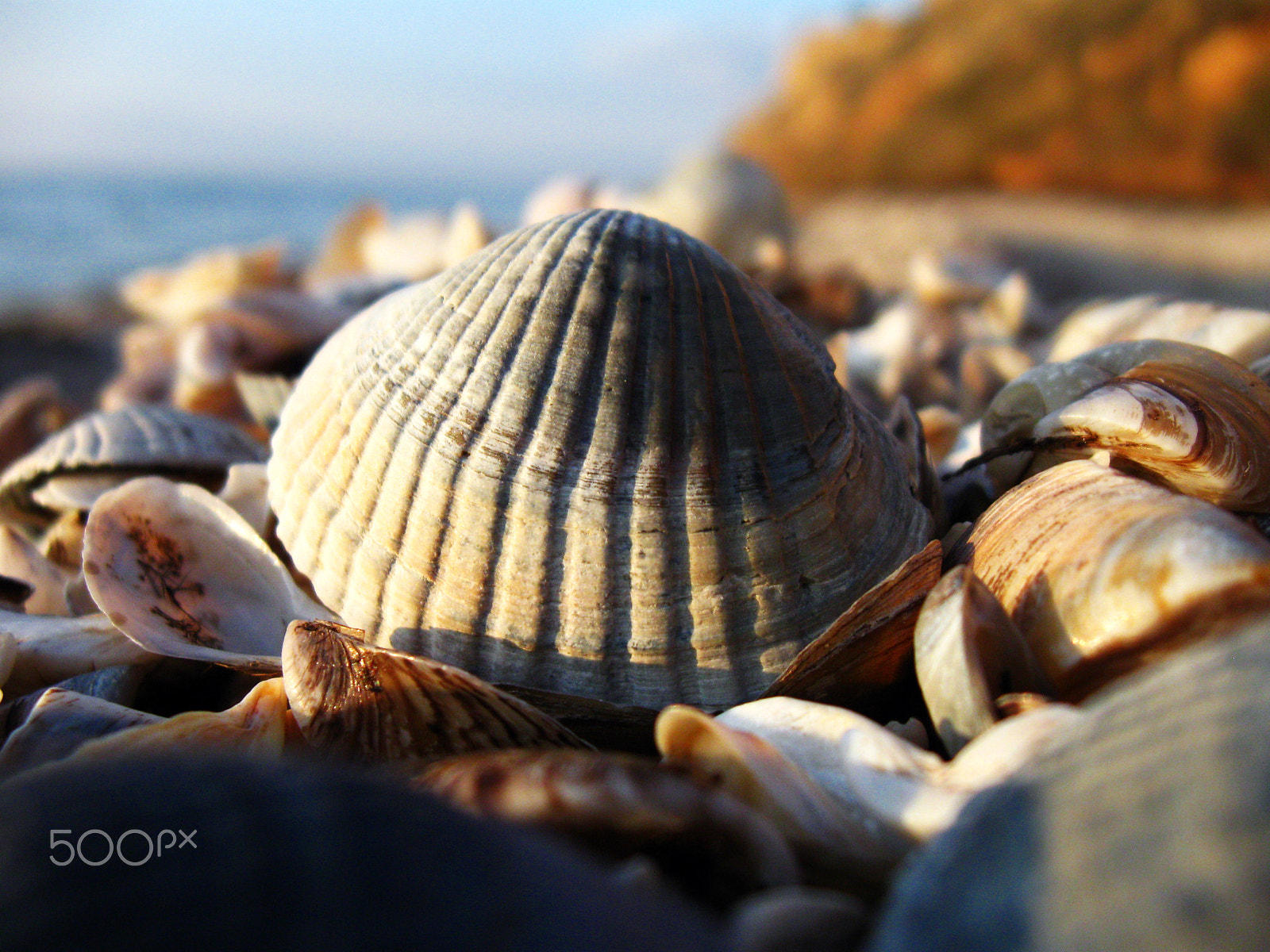 Canon PowerShot A590 IS sample photo. () photography