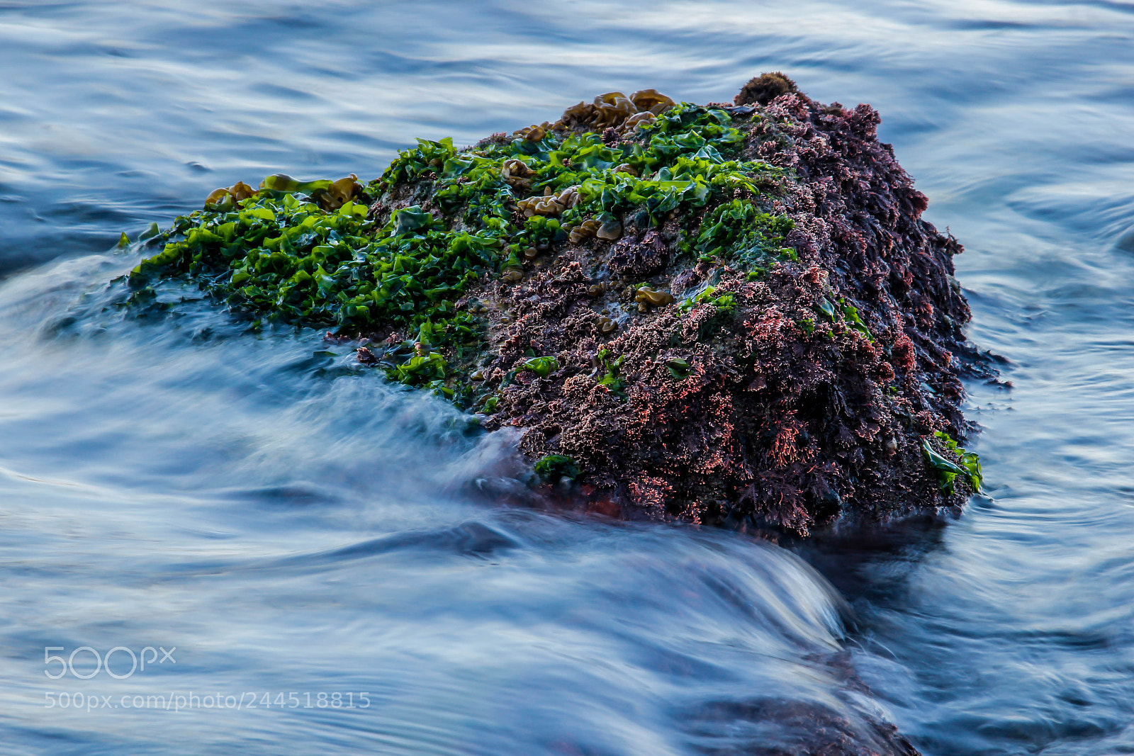 Canon EOS 550D (EOS Rebel T2i / EOS Kiss X4) sample photo. Rock in the sea photography