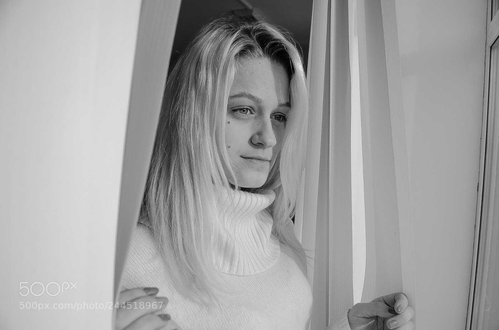 Nikon D5100 sample photo. Untitled photography