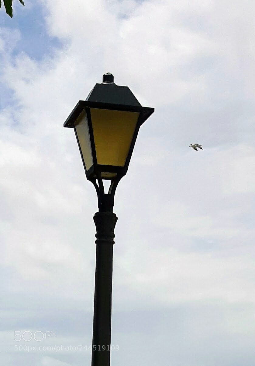 Samsung Galaxy S5 Neo sample photo. Farola y gaviota photography