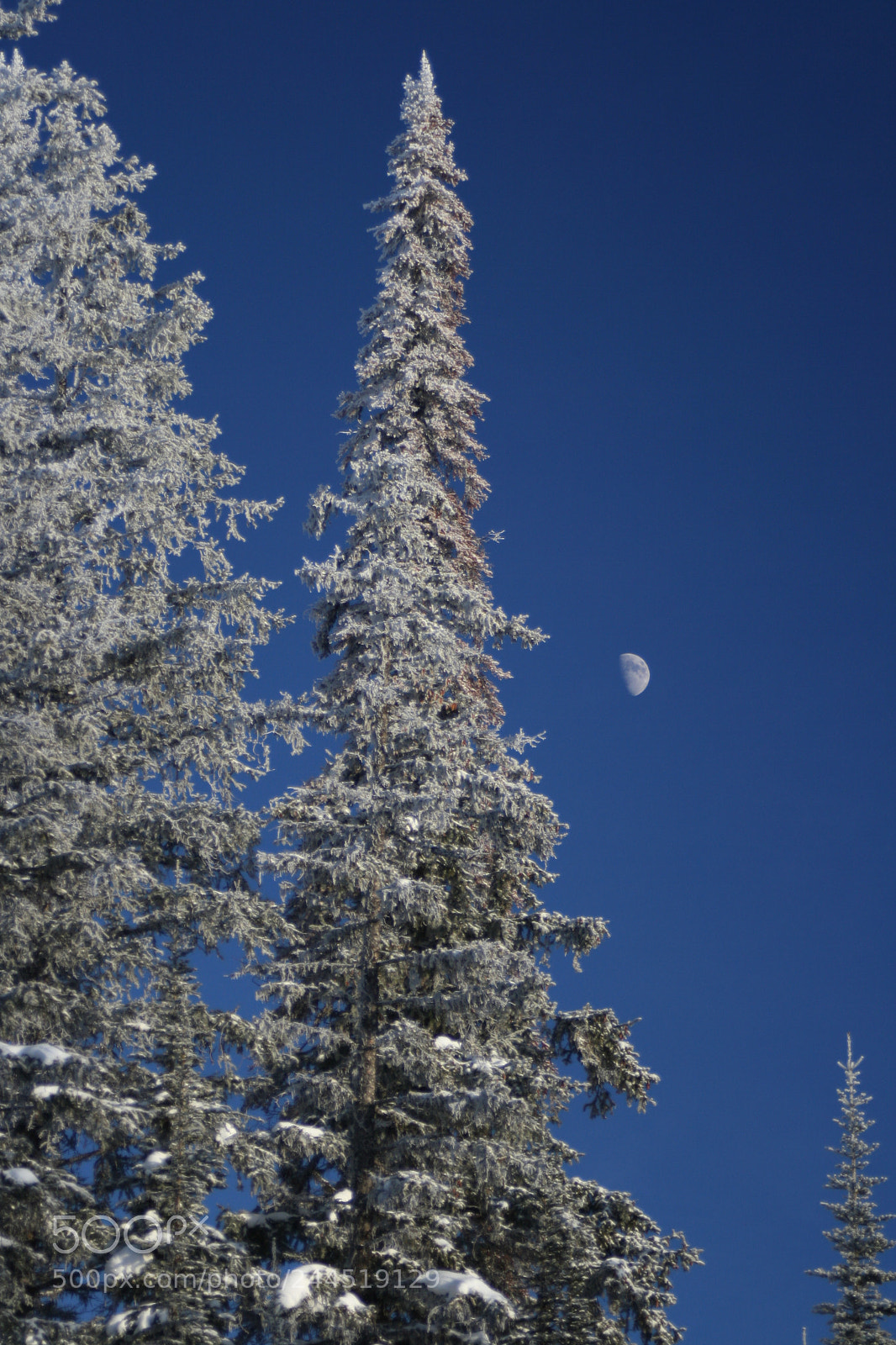 Canon EOS 400D (EOS Digital Rebel XTi / EOS Kiss Digital X) sample photo. Daylight moon photography