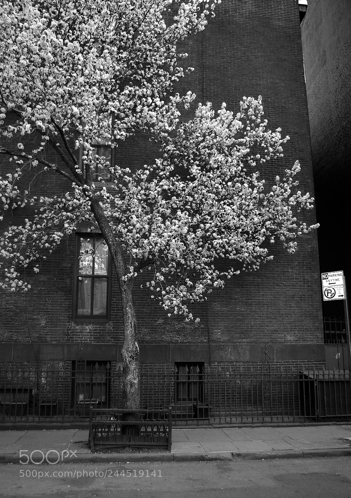 Pentax K-5 sample photo. Brooklyn heights photography
