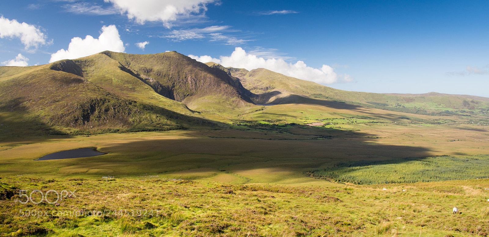 Nikon D7200 sample photo. Brandon mountain from conor photography