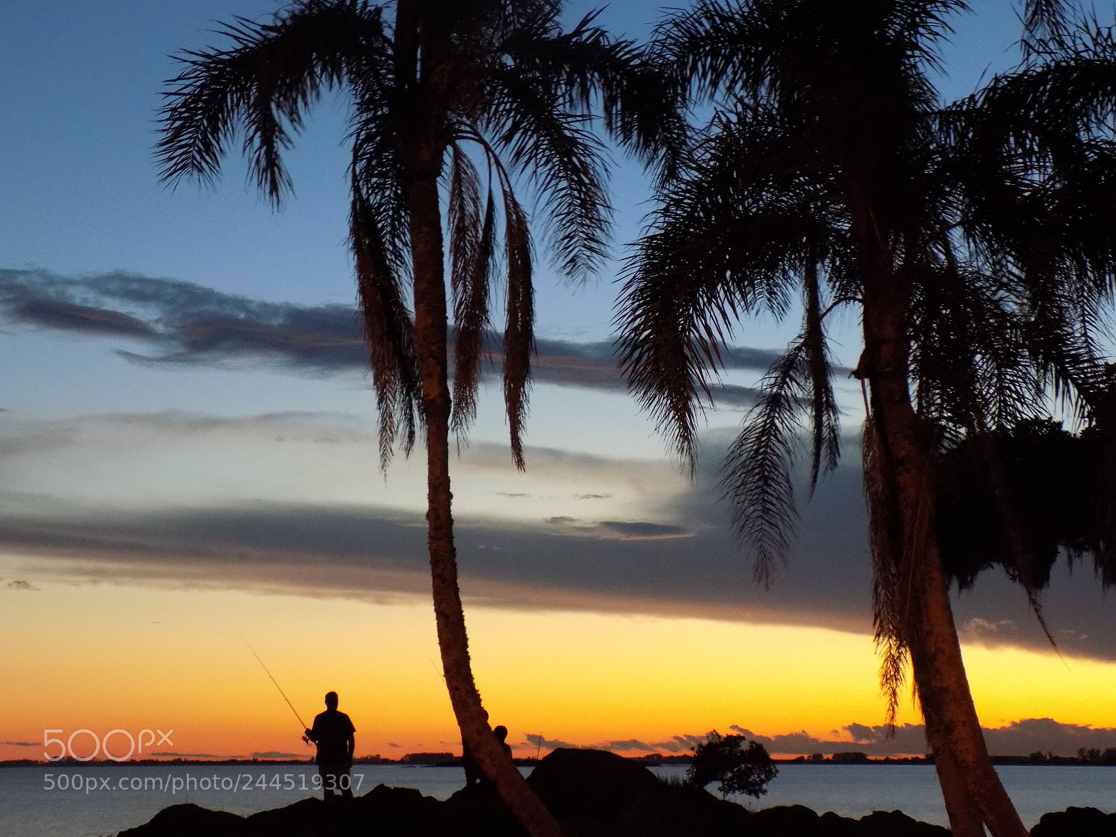 Nikon COOLPIX L340 sample photo. Fisher and the sunset photography