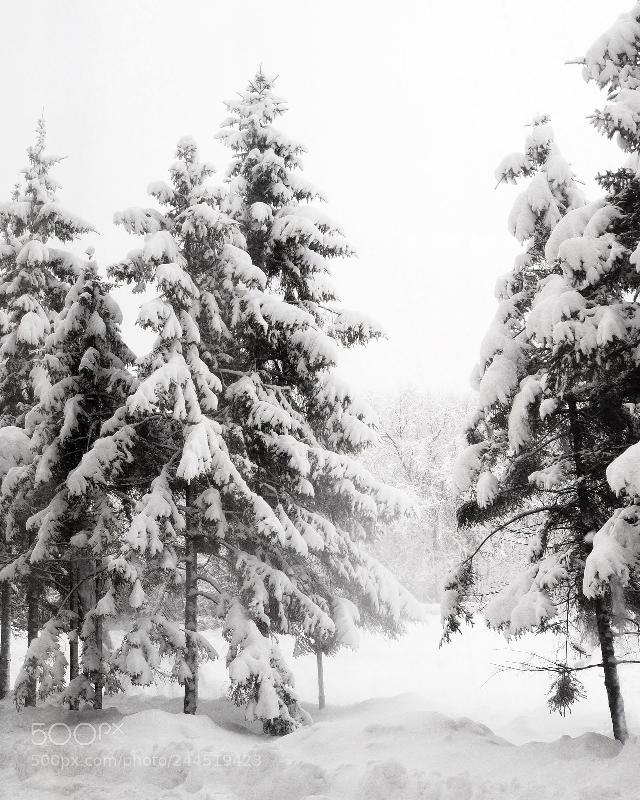 Apple iPhone X sample photo. Very snowy winter weather. photography